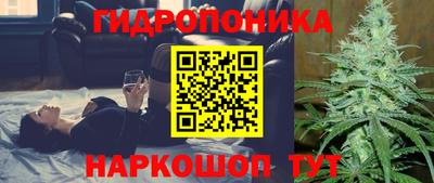 ALPHA PVP Камышлов
