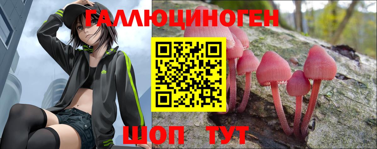 Псилоцибиновые грибы Psilocybine cubensis  Галлюциногенные грибы Psilocybine cubensis  Вход с VPN  Кузнецк 